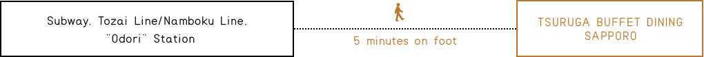 Subway, Tozai Line/Namboku Line, 'Odori' Station